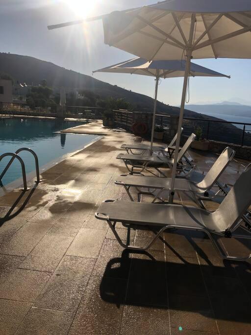 With Amazing View * Exopoli